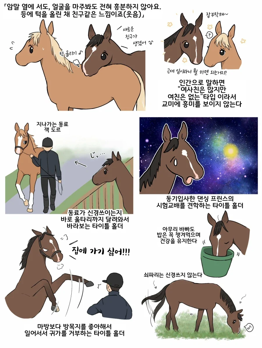manga_76503804_bb14_001.webp