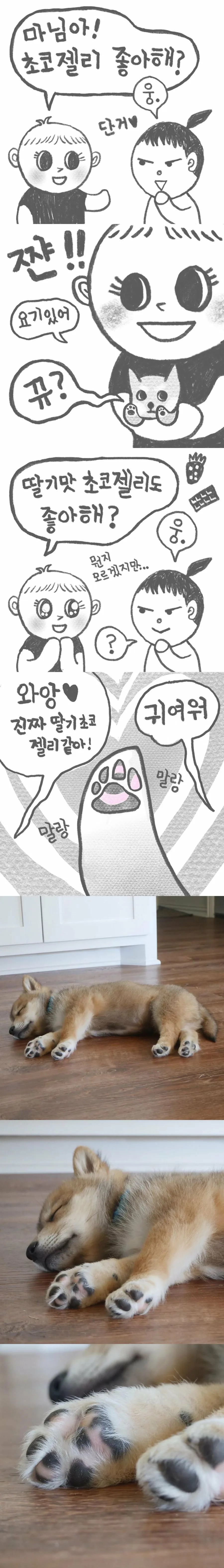 올리버쌤의 아내분이 그린 진돗개 왕자 일상툰.manhwa - 이미지 2