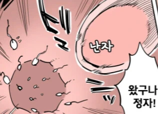 ㅎㅂ) 싫어...ㅇㅅ하기 싫단말이야..manga