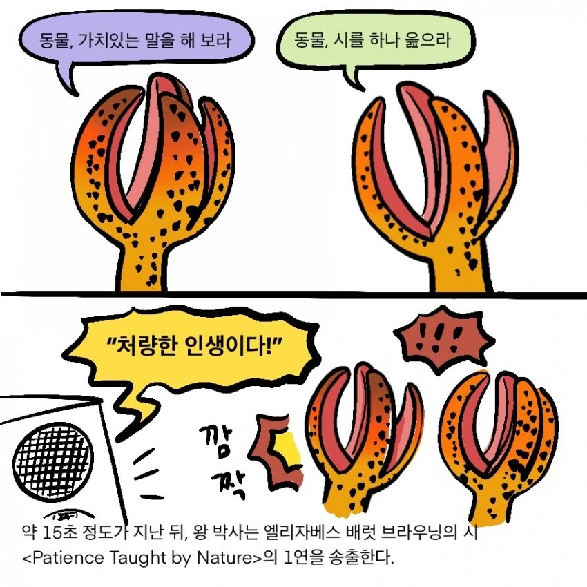 Scp) 재단이 scp전용 폰 ㅅㅅ 서비스를 운용하게 된 만화.manhw... - 이미지 10