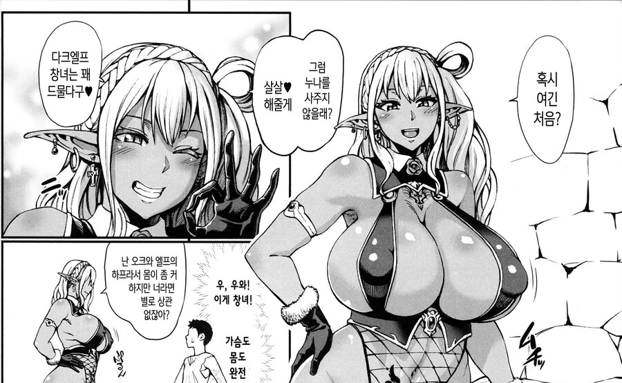 ㅎㅂ)어느 10대 엘프
