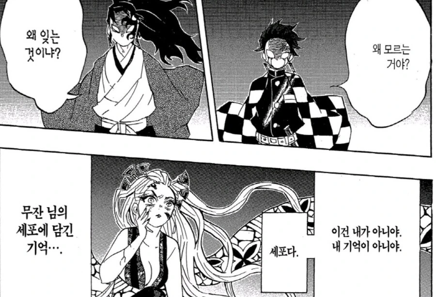 귀멸) 가해자와 피해자의 시선 차이.jpg_4.jpg