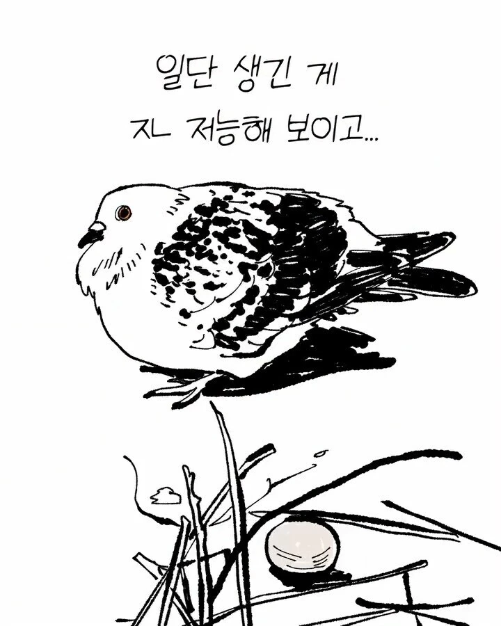 비둘기가 너무 귀여운 만화 - 이미지 3