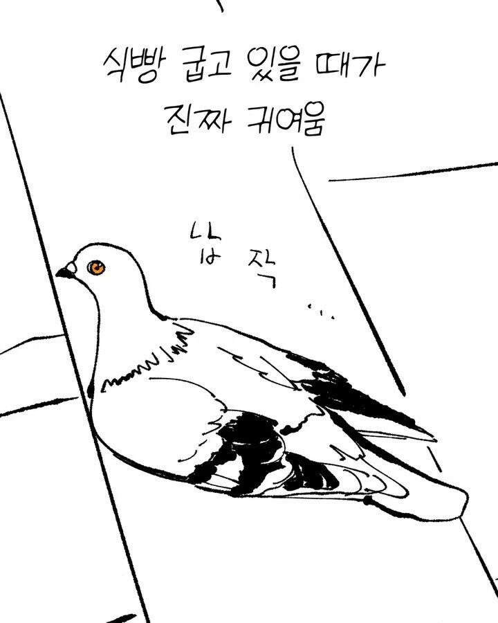 비둘기가 너무 귀여운 만화 - 이미지 4