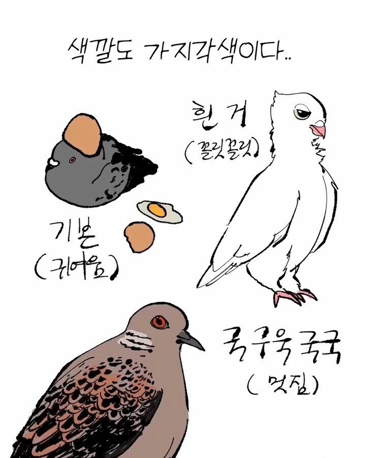 비둘기가 너무 귀여운 만화 - 이미지 5