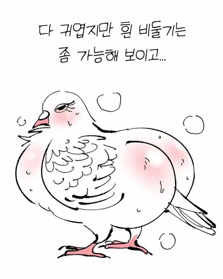 비둘기가 너무 귀여운 만화 - 이미지 6