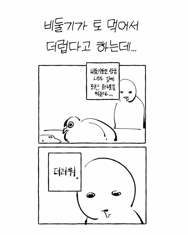 비둘기가 너무 귀여운 만화 - 이미지 8