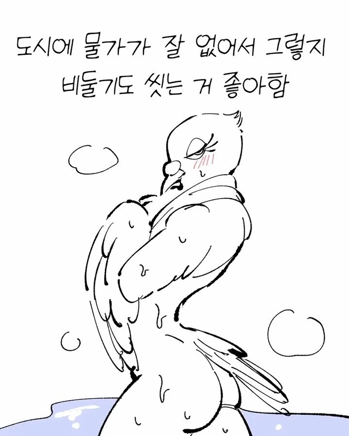 비둘기가 너무 귀여운 만화 - 이미지 10