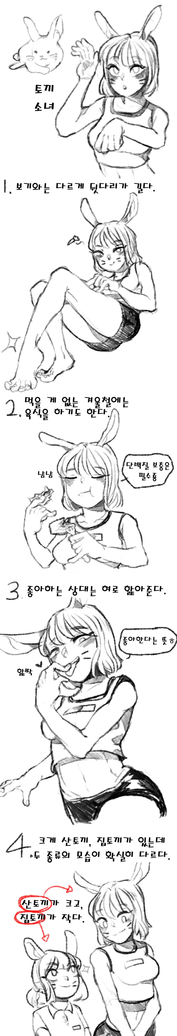 동물 소녀 시리즈 만화 - 이미지 5