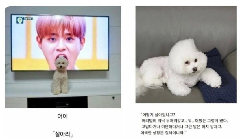 은근히 있는 소년 만화 클리셰.jpg