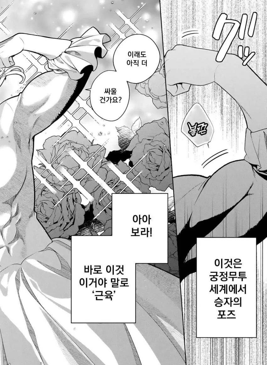 오스트리아 악역영애물 - 이미지 12