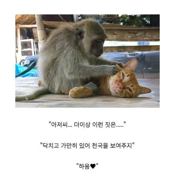 망국의 공주와 호위기사 풀버전.manga - 이미지 4