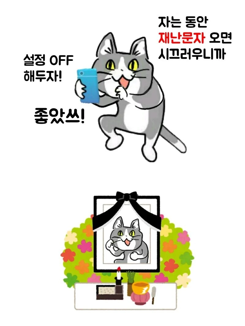 좋았쓰 고양이 최신화 번역.manhwa - 이미지 4