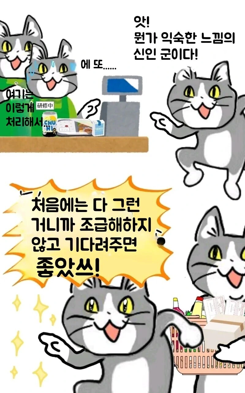 좋았쓰 고양이 최신화 번역.manhwa - 이미지 9