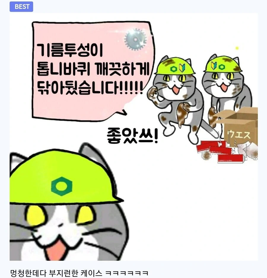 좋았쓰 고양이 최신화 번역.manhwa - 이미지 13