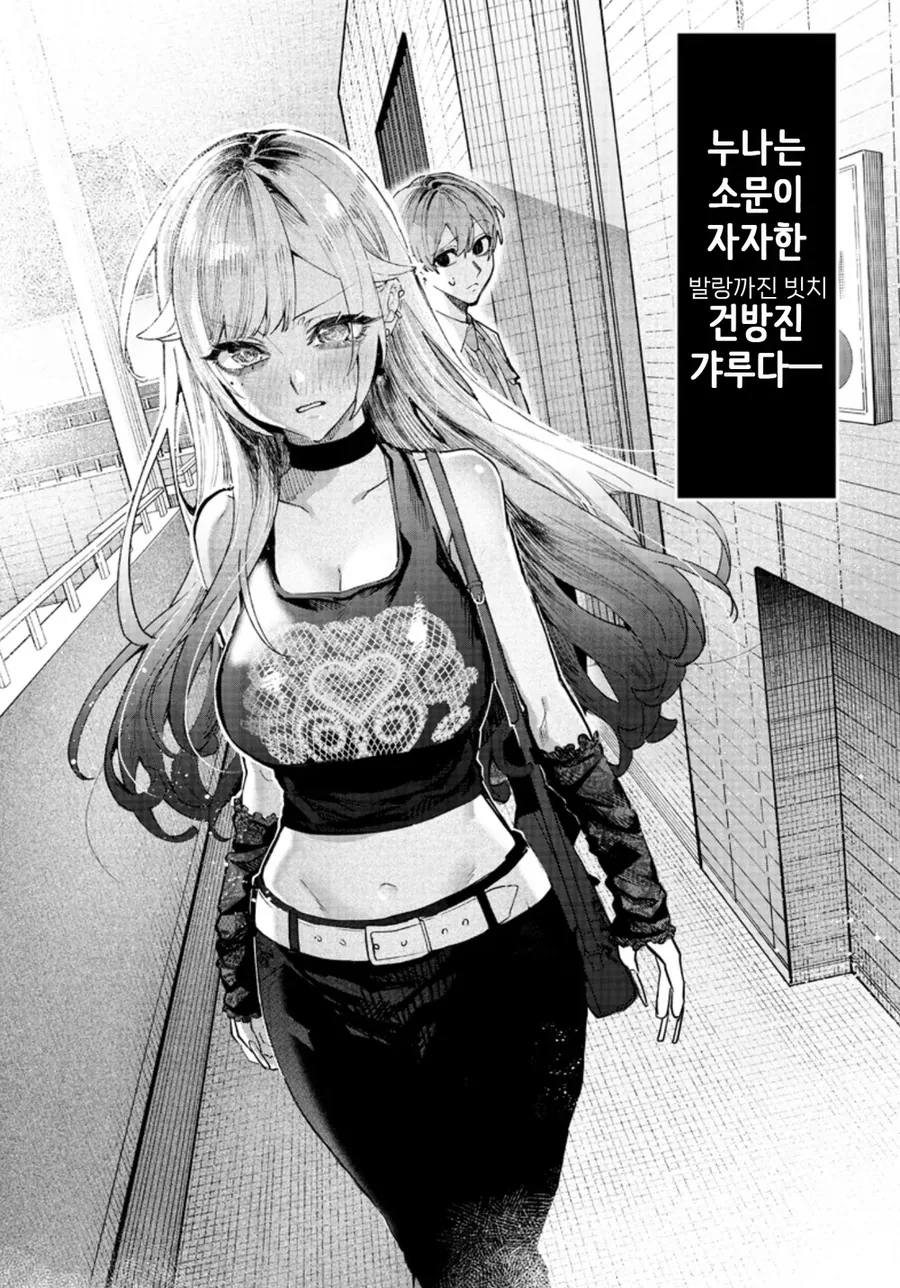 빡대가리 갸루 누나를 이해시키려는 만화 - 이미지 13