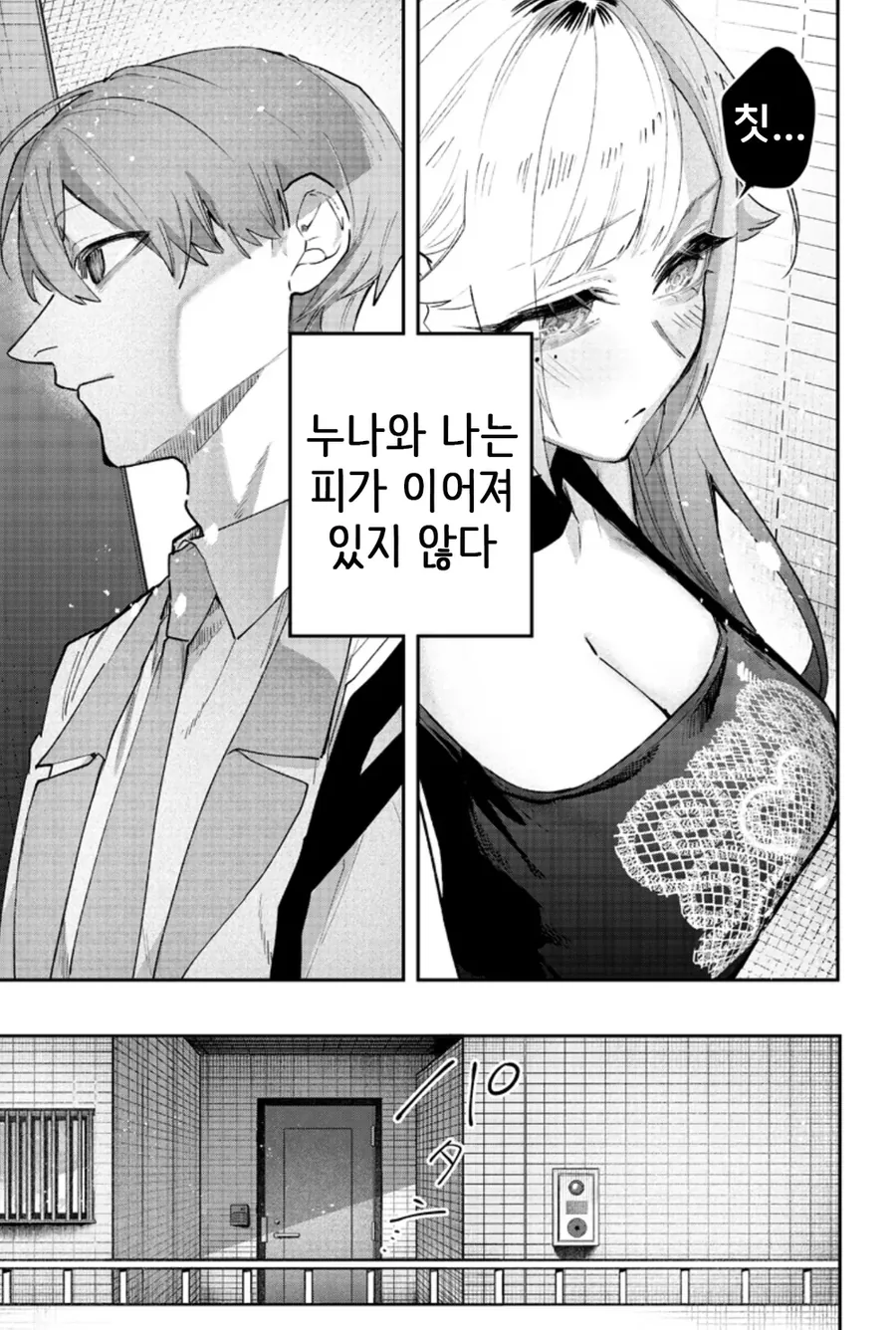 빡대가리 갸루 누나를 이해시키려는 만화 - 이미지 14