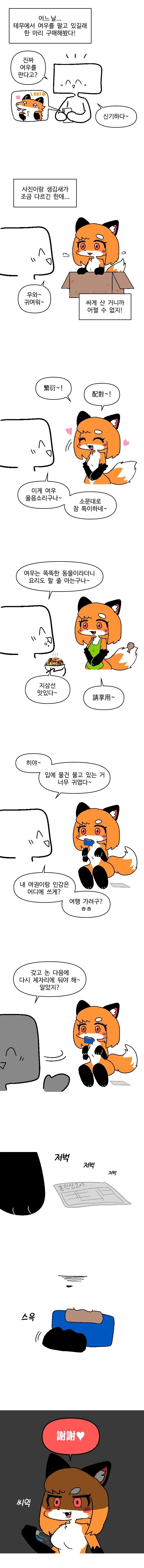 태무산 여우 택배 받는 만화