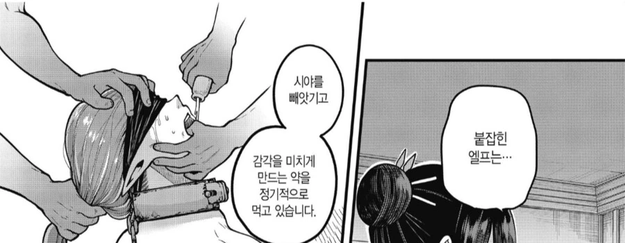 엘프를 ㅅㄴㅇ로 쓰던 왕국의 최후.manhwa
