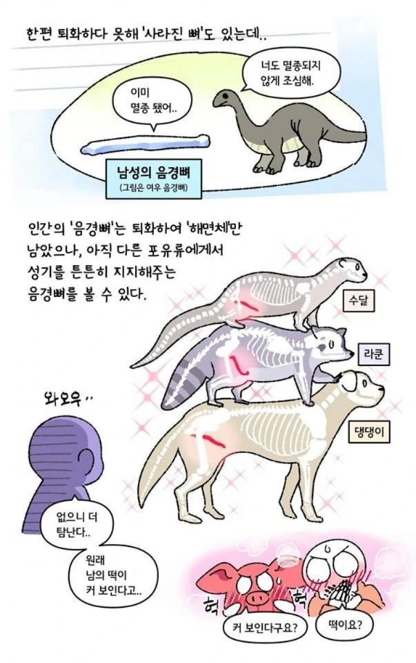 남의 ㅈㅈ가 더 탐나는 만화