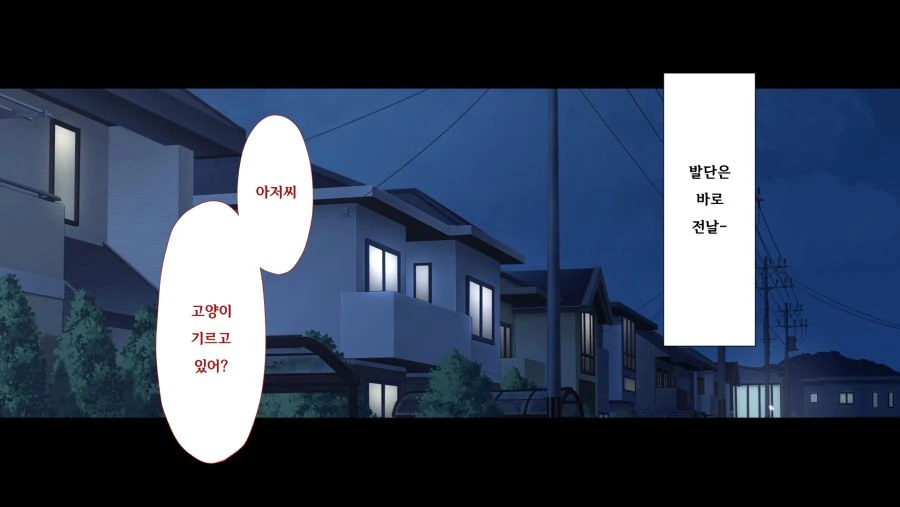 늦은 밤 길거리에서 갸루와 만나는 만화.manga