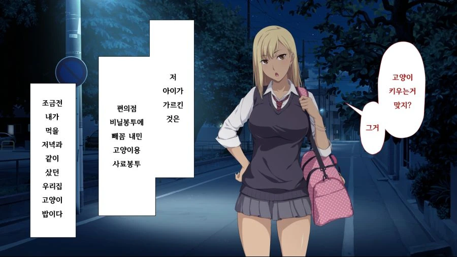 늦은 밤 길거리에서 갸루와 만나는 만화.manga - 이미지 5