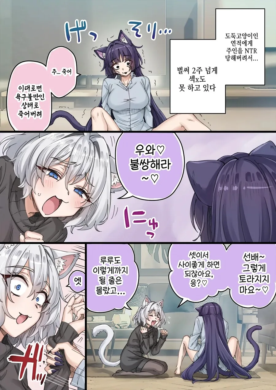 NTR를 너무 많이 당해서 머리가 이상해진 얀데레 반려묘.manga - 이미지 2