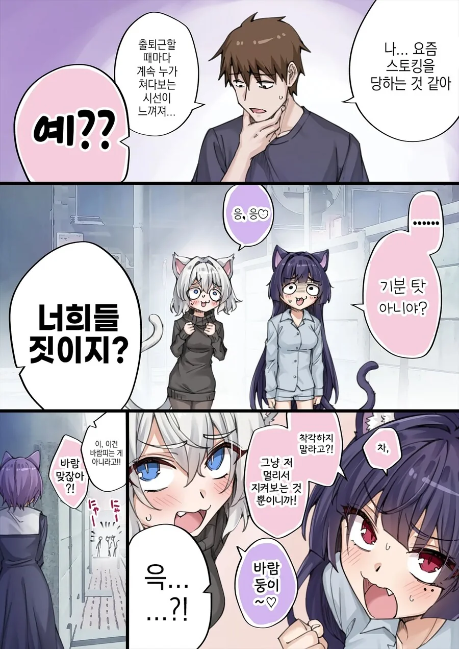 NTR를 너무 많이 당해서 머리가 이상해진 얀데레 반려묘.manga - 이미지 13