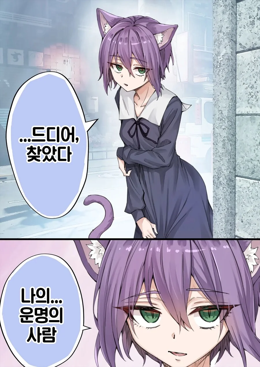 NTR를 너무 많이 당해서 머리가 이상해진 얀데레 반려묘.manga - 이미지 14