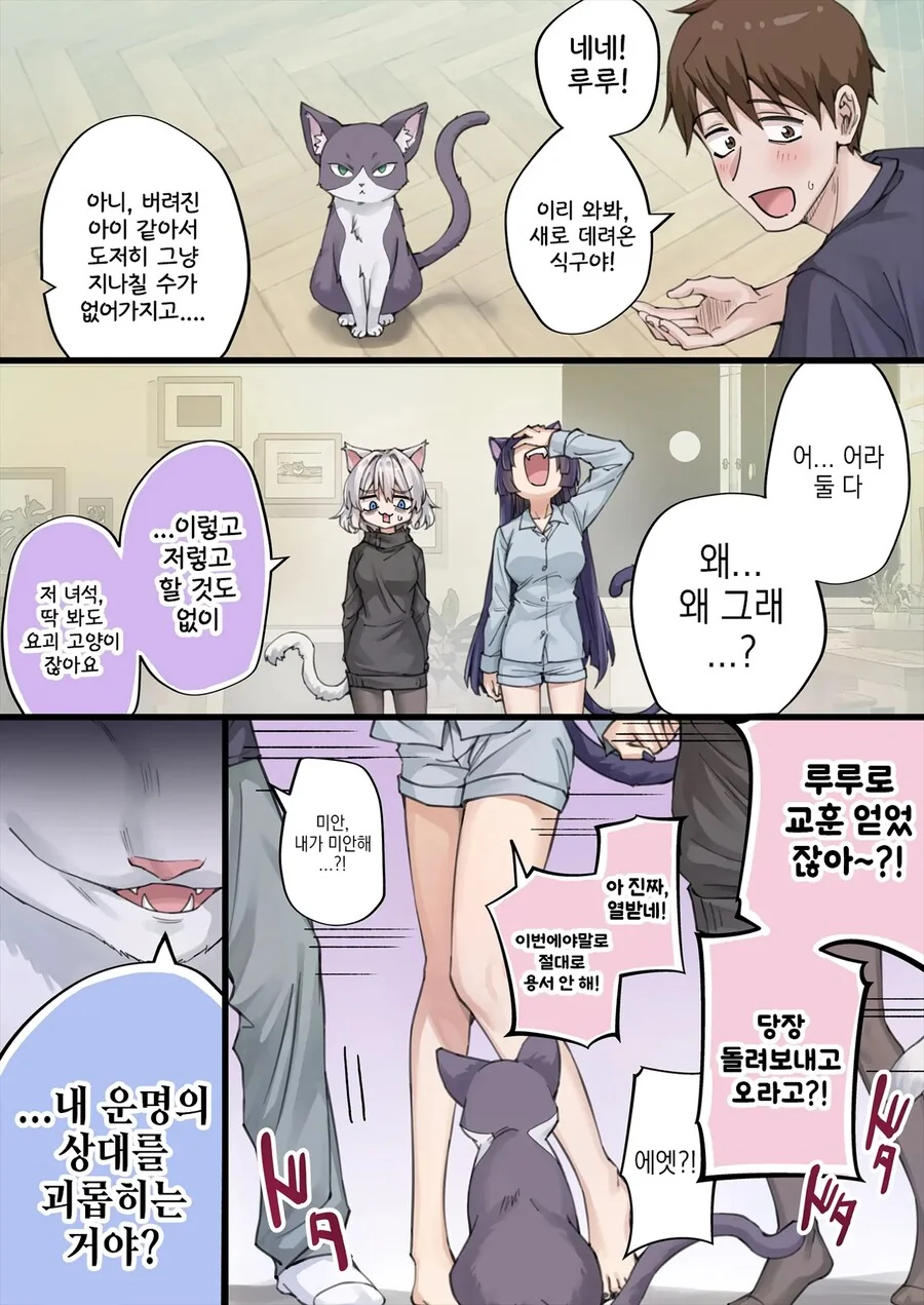 NTR를 너무 많이 당해서 머리가 이상해진 얀데레 반려묘.manga - 이미지 15