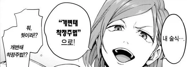"개변태ㅊㅈ주법"