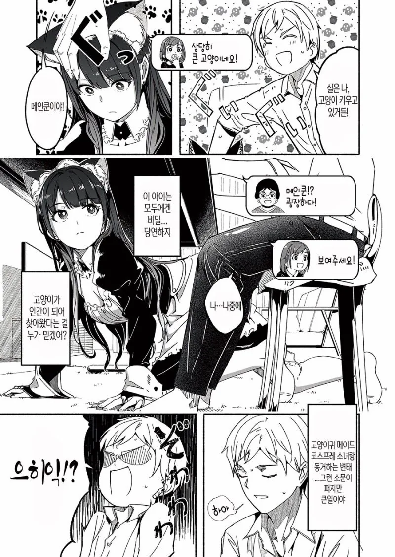 고양이 메이드 만화.manwha - 이미지 3