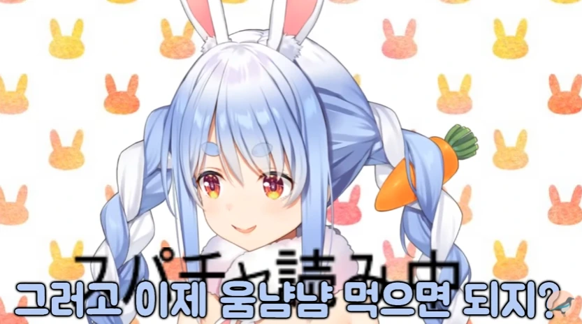 버튜버)페코라의 기적의 다이어트 방법 - 이미지 8