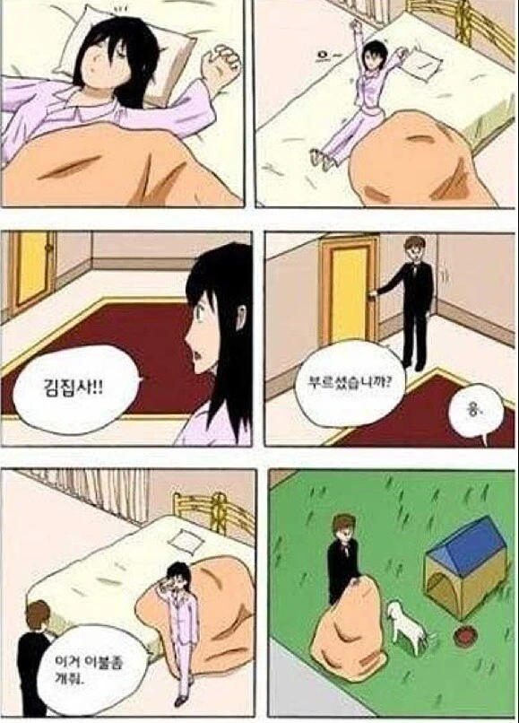 개ㅇㅎ 김집사 만화