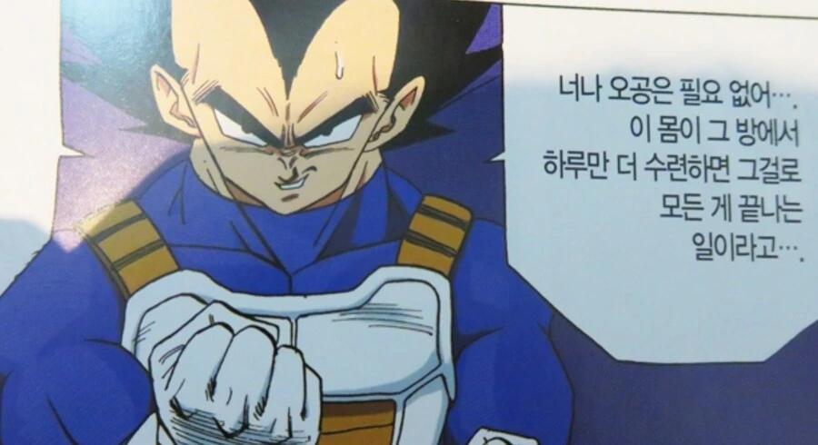 의외로 손오공을 오공이라 칭한적이 있는 베지터