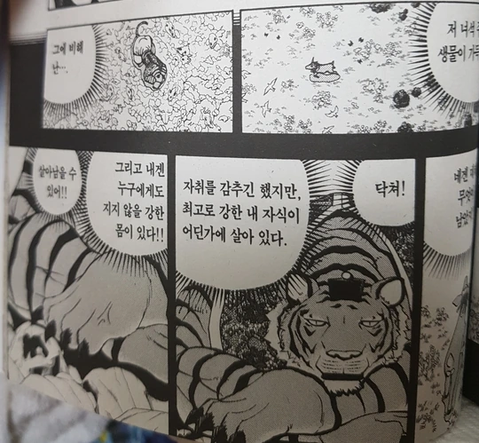최강의 호랑이 manhwa - 이미지 7