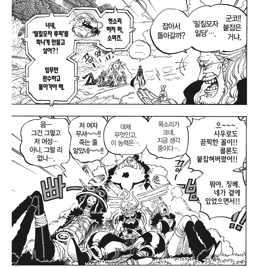 원피스) 의외로 다들 인정하는 것 - 이미지 5