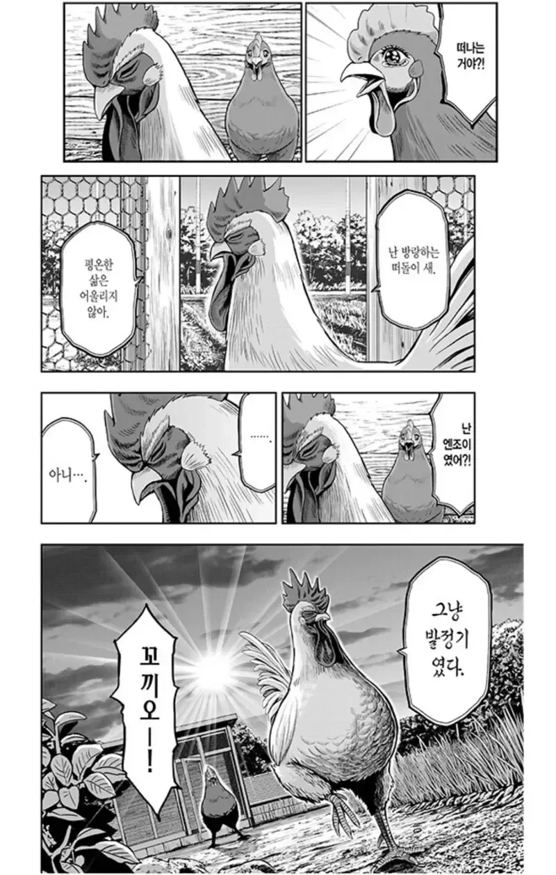 닭이 ㅅㅅ하는 manhwa - 이미지 4