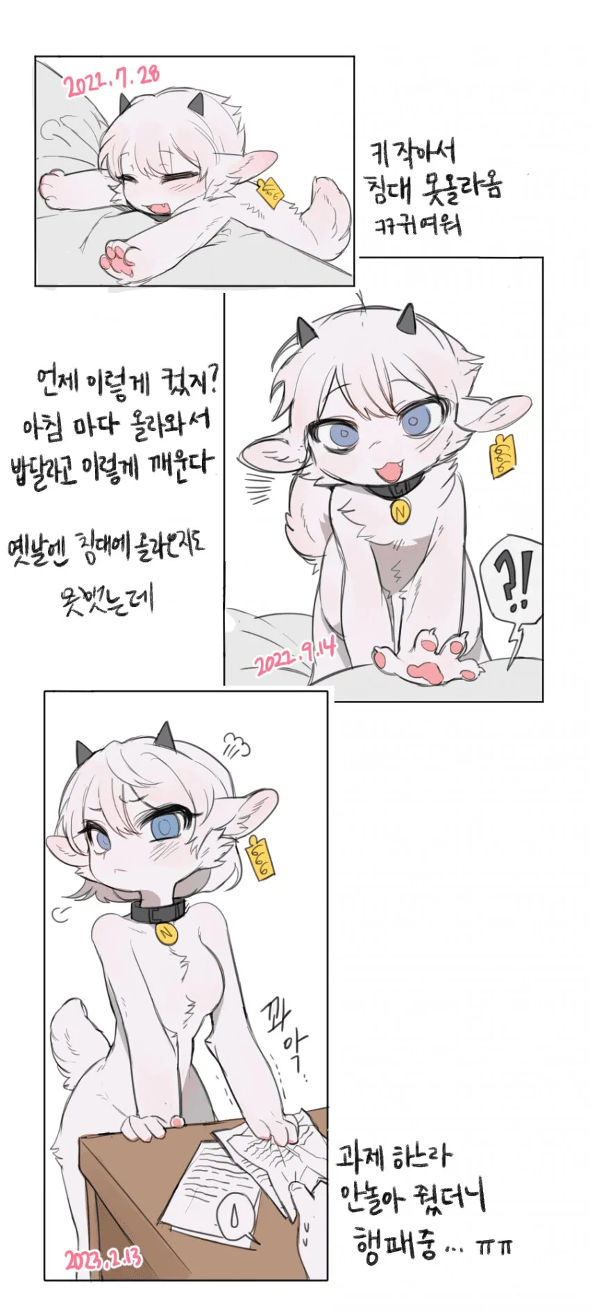 애완 염소 키우는 만와 - 이미지 2