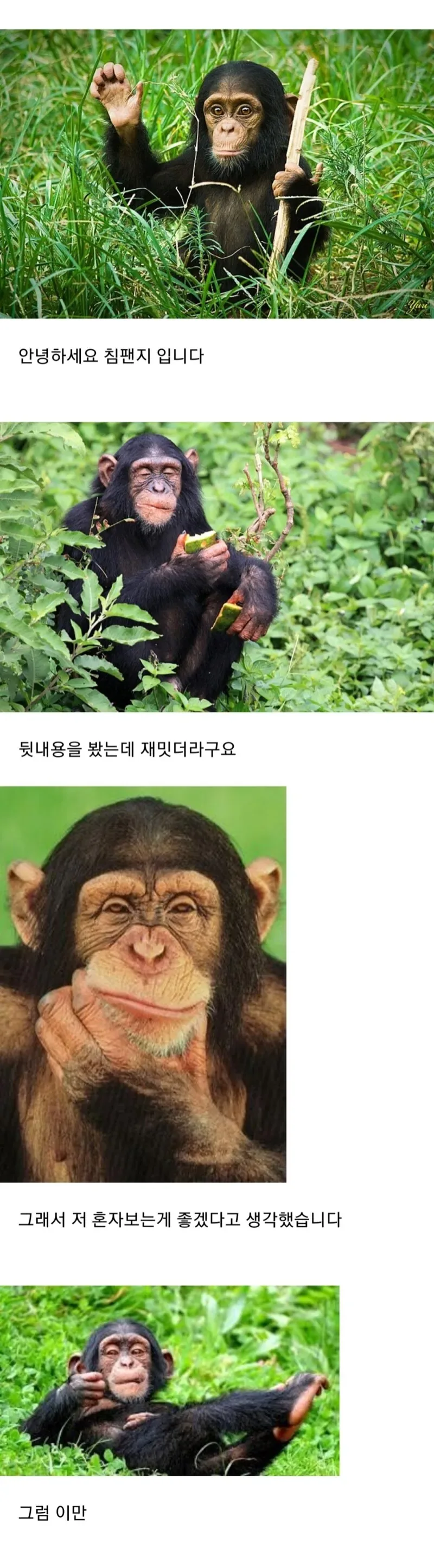 소꿉친구가 같은 학교지만 어색한사이인 만화 - 이미지 11