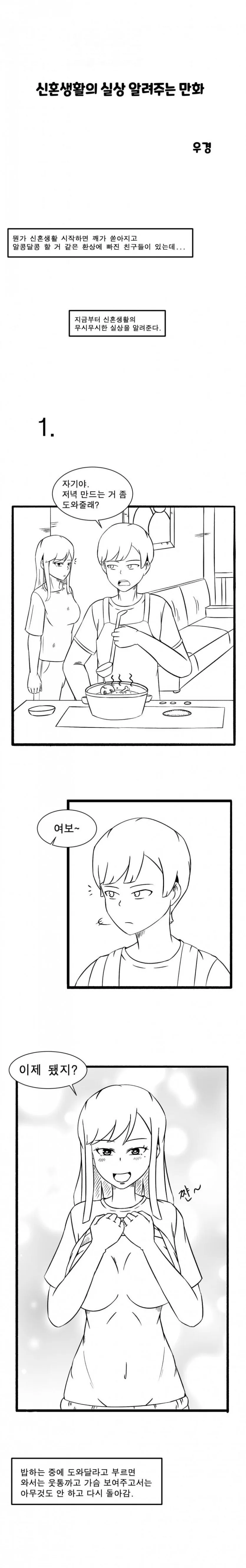 ㅇㅎ?) 신혼생활의 실상 알려주는 만화