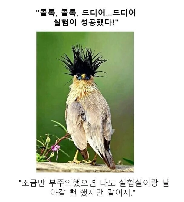 만화대사 클리셰 모음