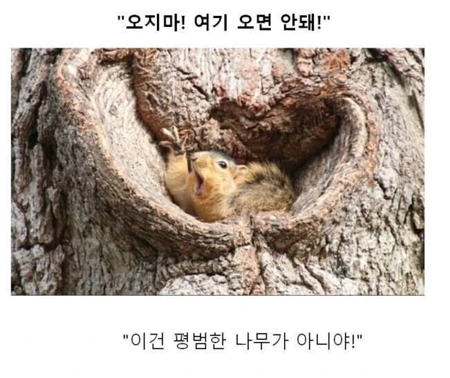 만화대사 클리셰 모음 - 이미지 2
