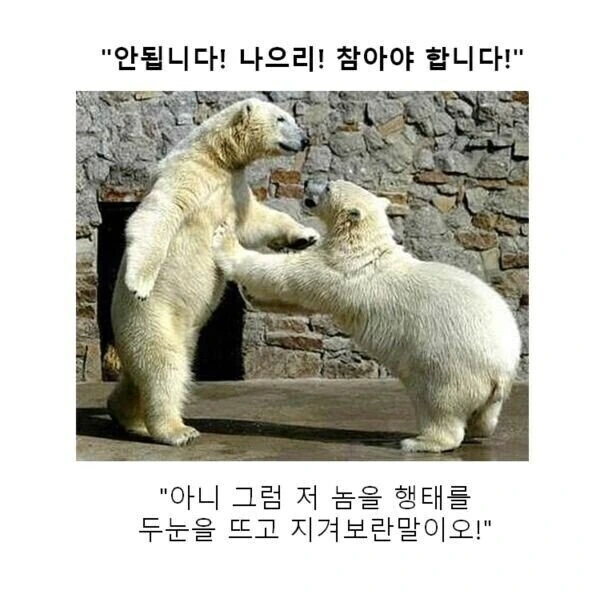 만화대사 클리셰 모음 - 이미지 4