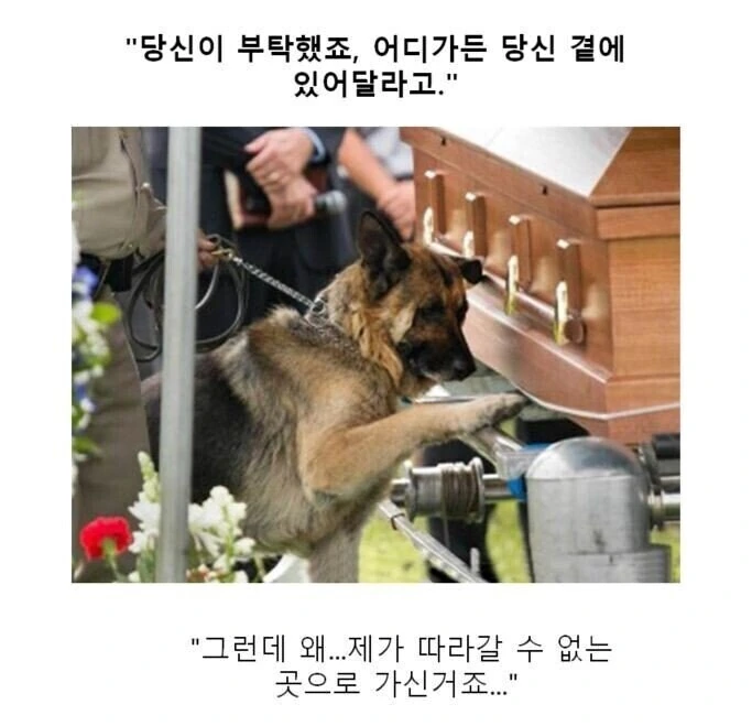만화대사 클리셰 모음 - 이미지 7