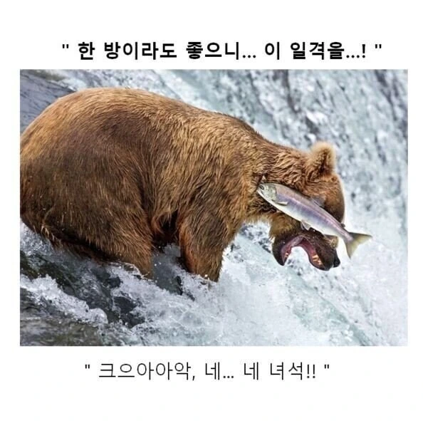 만화대사 클리셰 모음 - 이미지 8