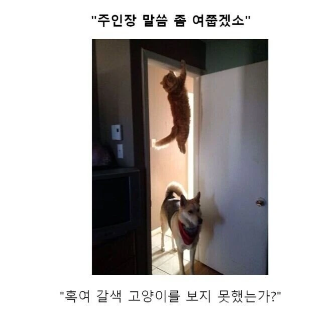 만화대사 클리셰 모음 - 이미지 9
