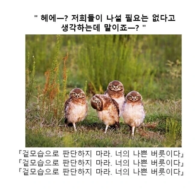만화대사 클리셰 모음 - 이미지 10