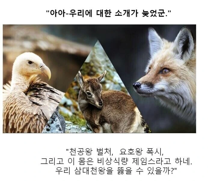 만화대사 클리셰 모음 - 이미지 11