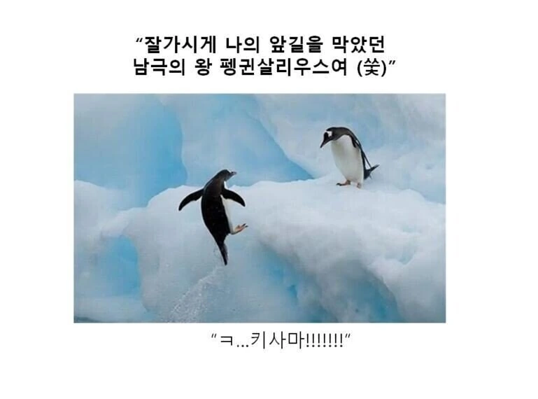 만화대사 클리셰 모음 - 이미지 13